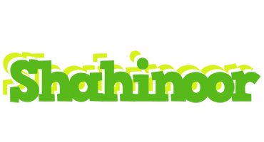 Shahinoor picnic logo