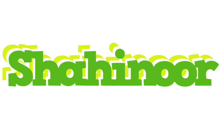 Shahinoor picnic logo