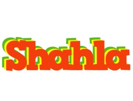 Shahla bbq logo