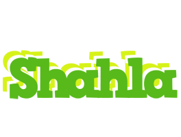 Shahla picnic logo