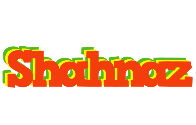 Shahnaz bbq logo