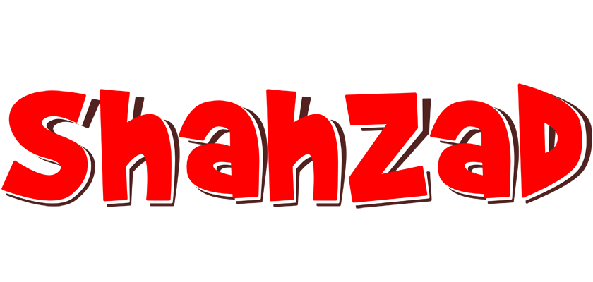 Shahzad basket logo