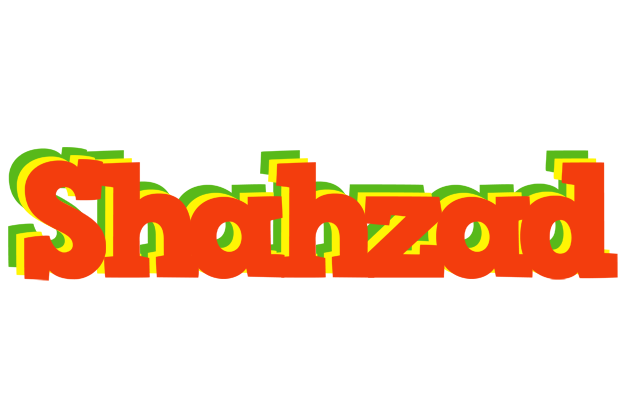 Shahzad bbq logo