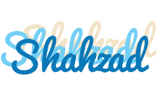 Shahzad breeze logo