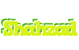 Shahzad citrus logo