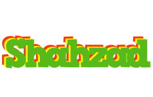 Shahzad crocodile logo