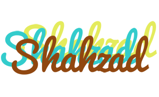 Shahzad cupcake logo