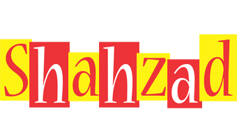 Shahzad errors logo