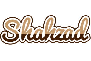 Shahzad exclusive logo