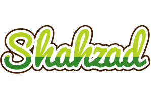Shahzad golfing logo
