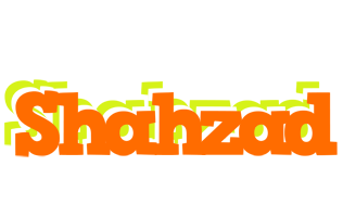 Shahzad healthy logo