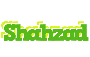 Shahzad picnic logo