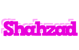 Shahzad rumba logo