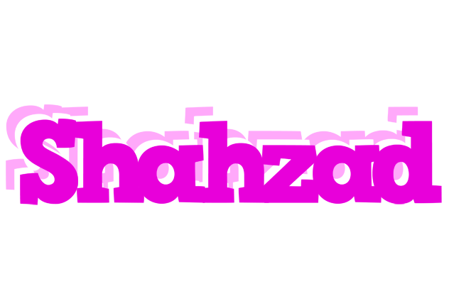 Shahzad rumba logo
