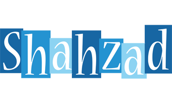 Shahzad winter logo