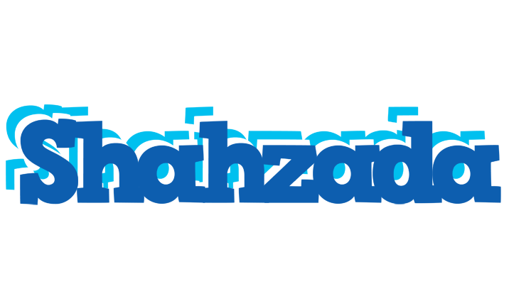 Shahzada business logo