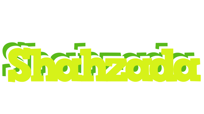 Shahzada citrus logo