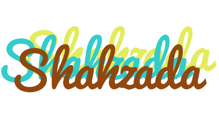 Shahzada cupcake logo