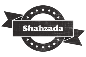 Shahzada grunge logo