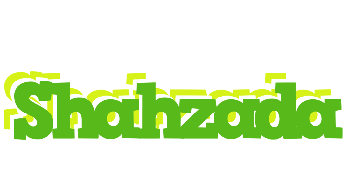 Shahzada picnic logo