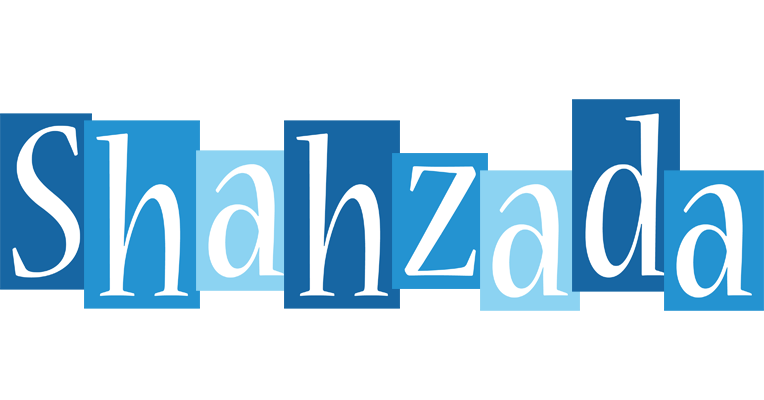 Shahzada winter logo