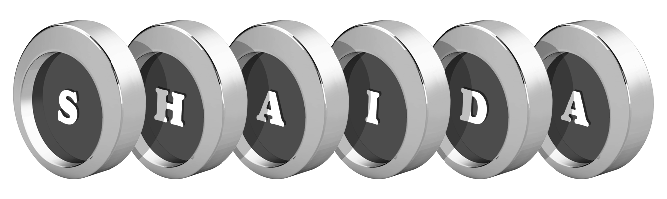 Shaida coins logo
