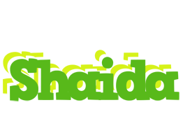 Shaida picnic logo