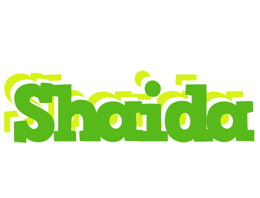 Shaida picnic logo