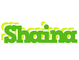 Shaina picnic logo