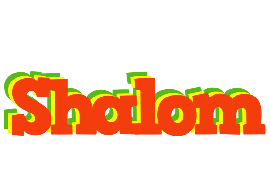Shalom bbq logo