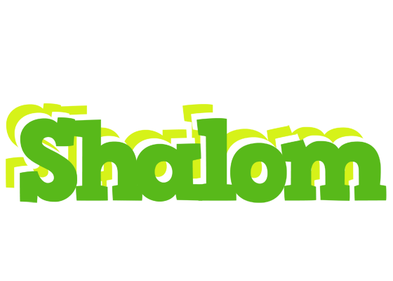 Shalom picnic logo