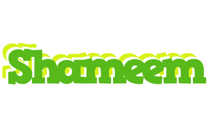 Shameem picnic logo