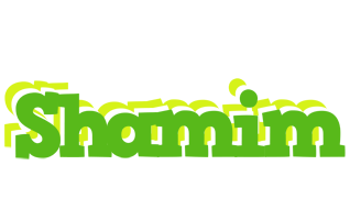 Shamim picnic logo