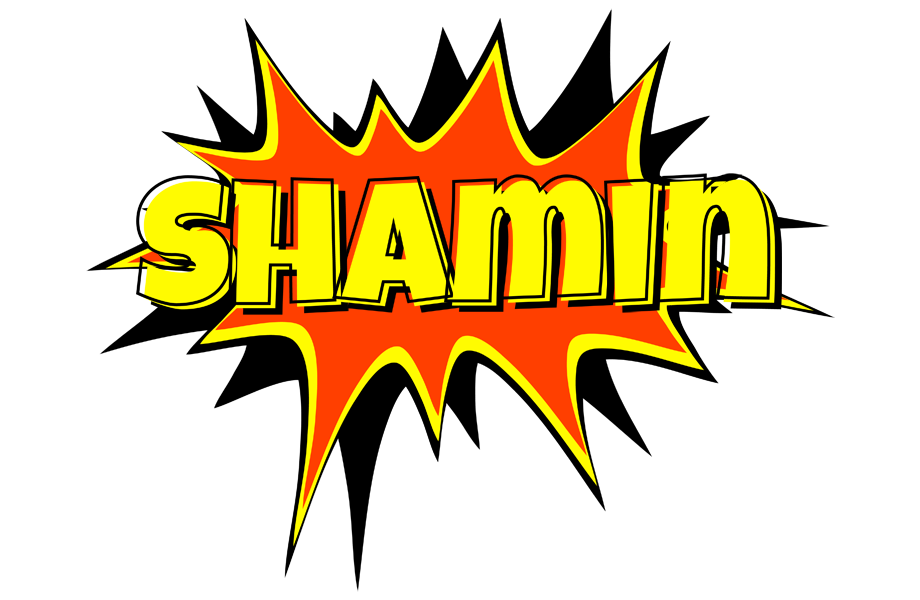 Shamin bazinga logo