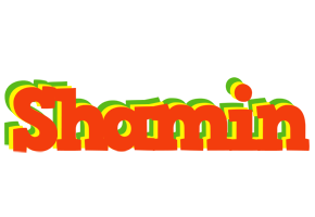 Shamin bbq logo