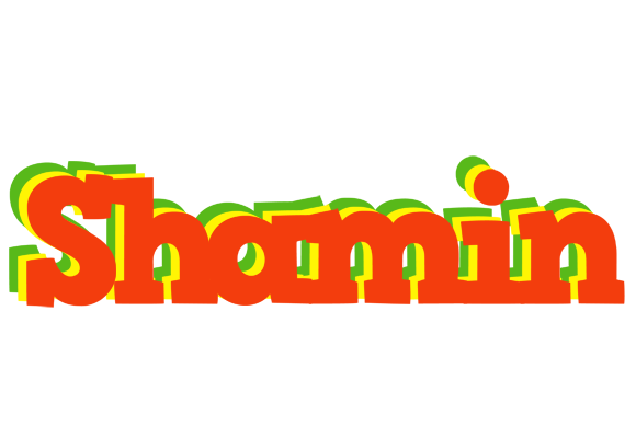 Shamin bbq logo