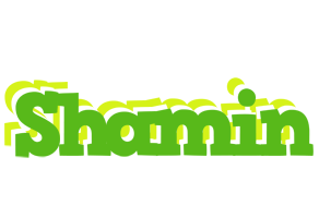 Shamin picnic logo