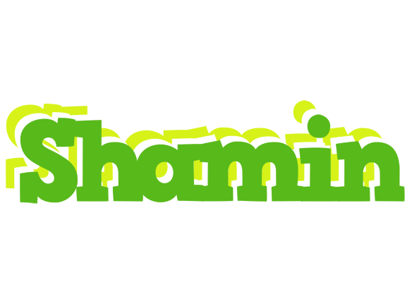 Shamin picnic logo