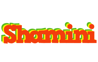 Shamini bbq logo