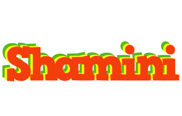 Shamini bbq logo