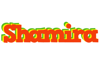 Shamira bbq logo