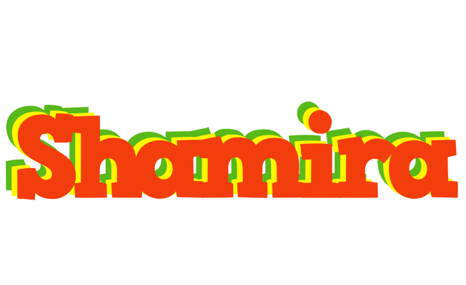 Shamira bbq logo