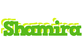 Shamira picnic logo