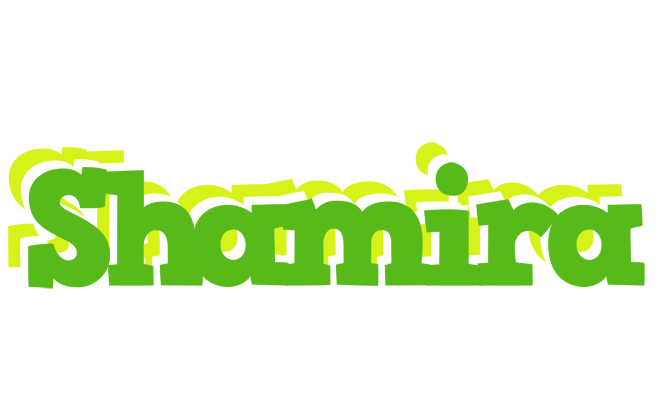 Shamira picnic logo