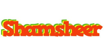 Shamsheer bbq logo