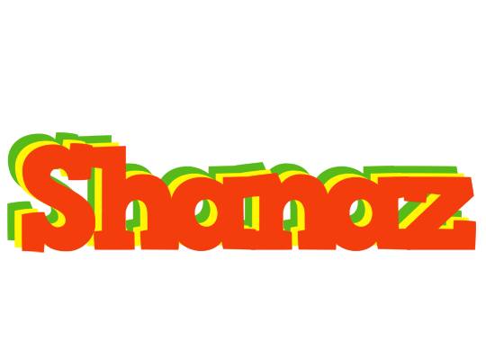 Shanaz bbq logo