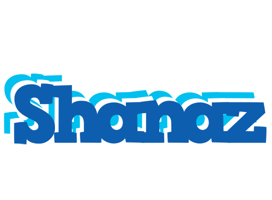 Shanaz business logo