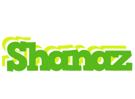 Shanaz picnic logo