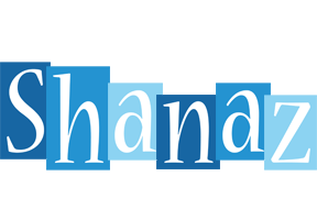 Shanaz winter logo