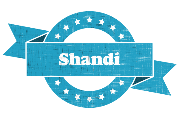 Shandi balance logo